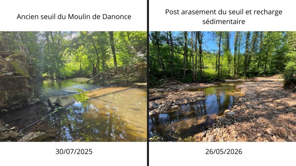 Arasement de l'ancien seuil du Moulin de Danonce et recharge sédimentaire