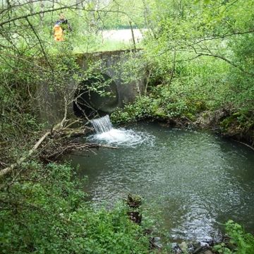 Restauration de la continuité écologique- Laneuvelle (52 400) 