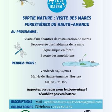 Fête des mares - Les mares forestières de Haute-Amance