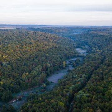 Travaux sur le Val de Presles - Haute-Amance (52 600)