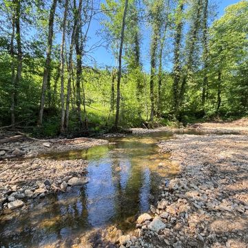 Première tranche de restauration de la rivière Apance en amont de Bourbonne-lès-Bains (52 400)